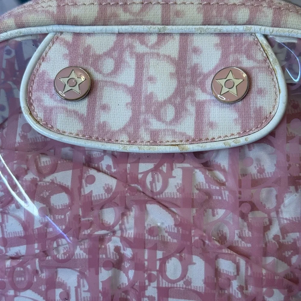 Dior Authentic Pink and Cream Trotter Transparent Crossbody bag w/pouch. RARE - Picture 5 of 16